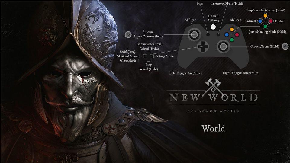 New World Controller Support Configuration Naguide
