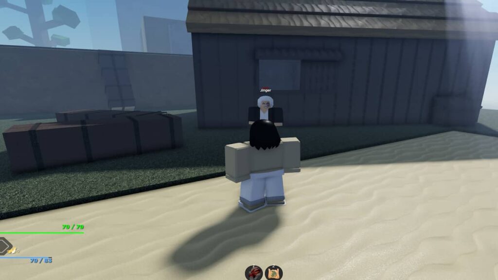 Project Slayers All Trainers Guide