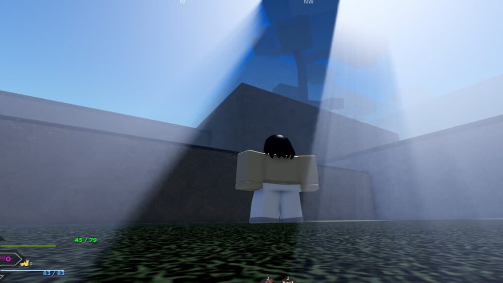 Project Slayers All Trainers Guide