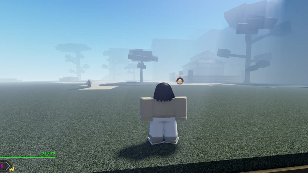 Project Slayers All Trainers Guide