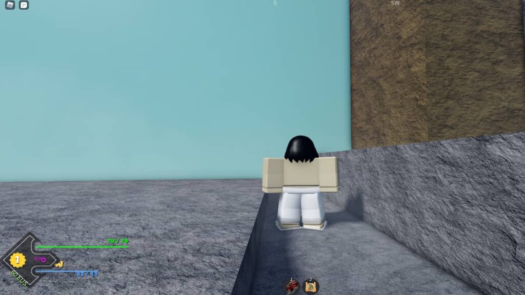 Project Slayers All Trainers Guide