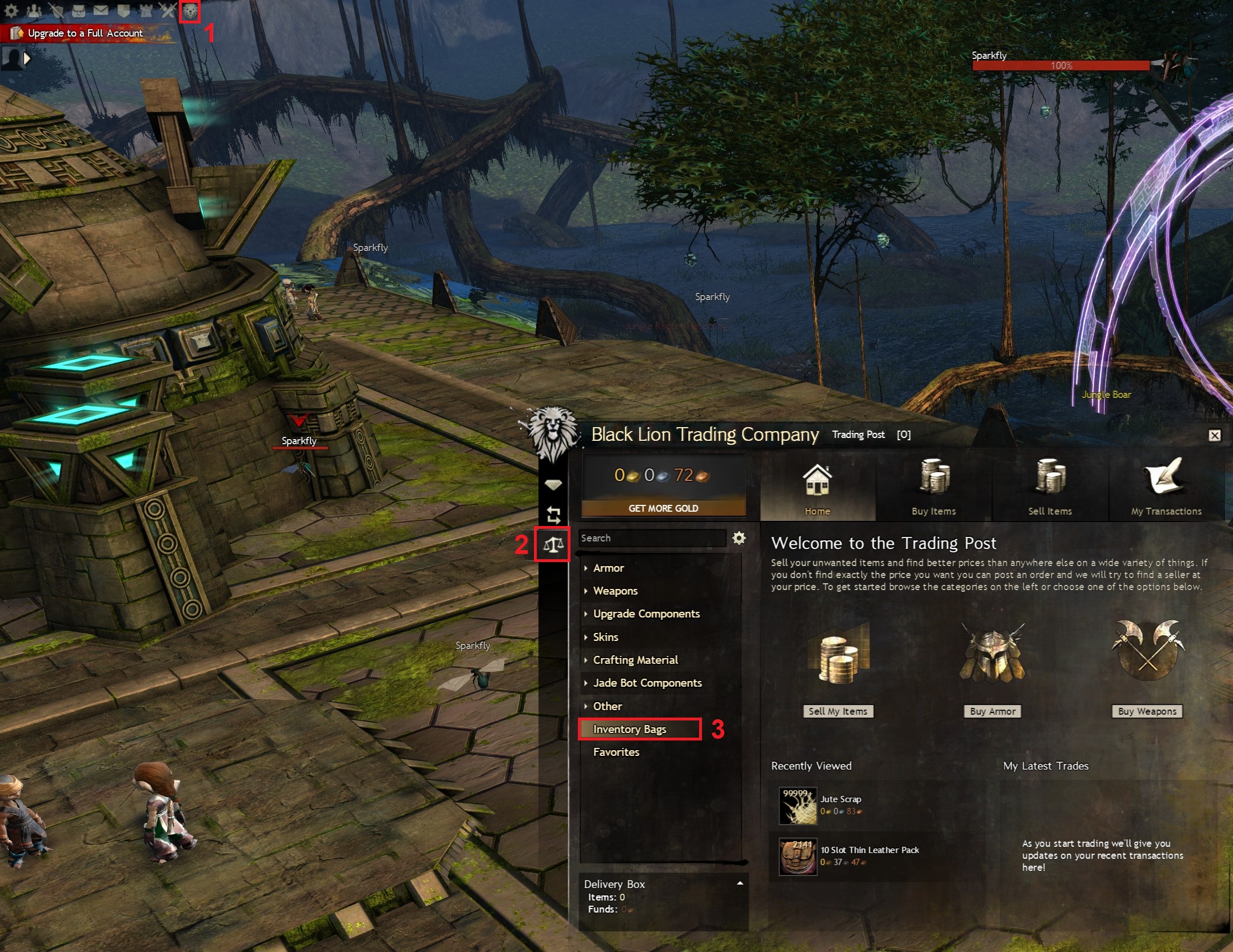 Guild Wars 2 Inventory Management Guide naguide