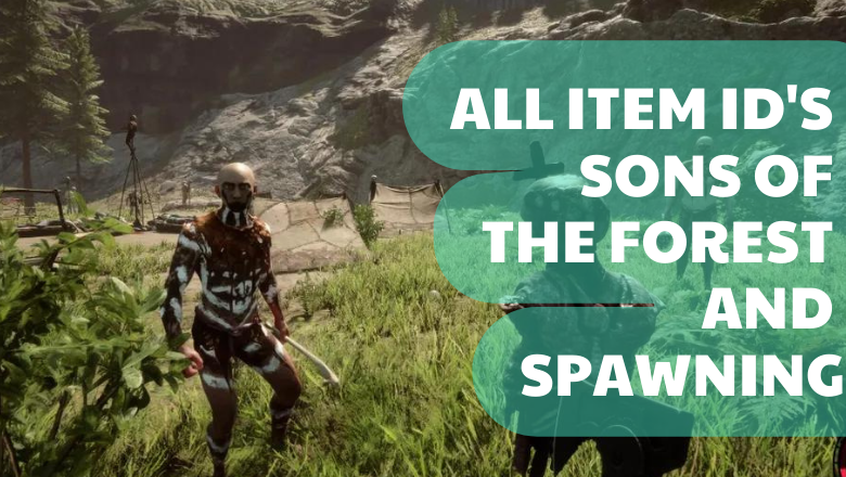 Sons of the Forest item IDs and how to spawn in items - Video Games on  Sports Illustrated