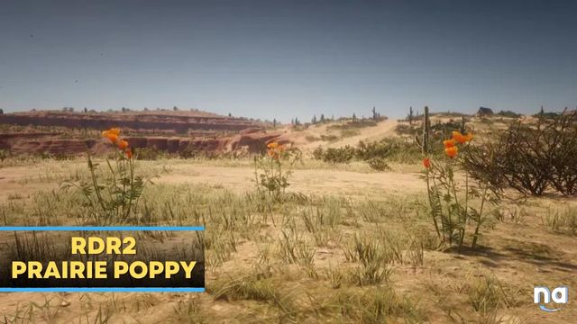 Where to Find Prairie Poppy in Red Dead Redemption 2