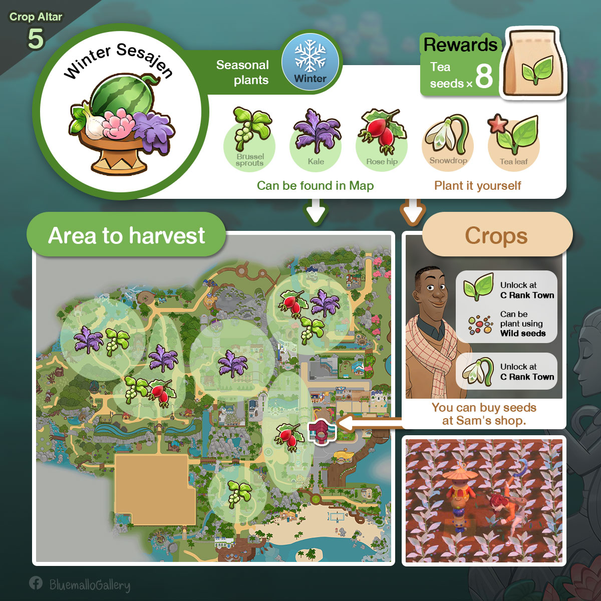 Coral Island: Offering Guide