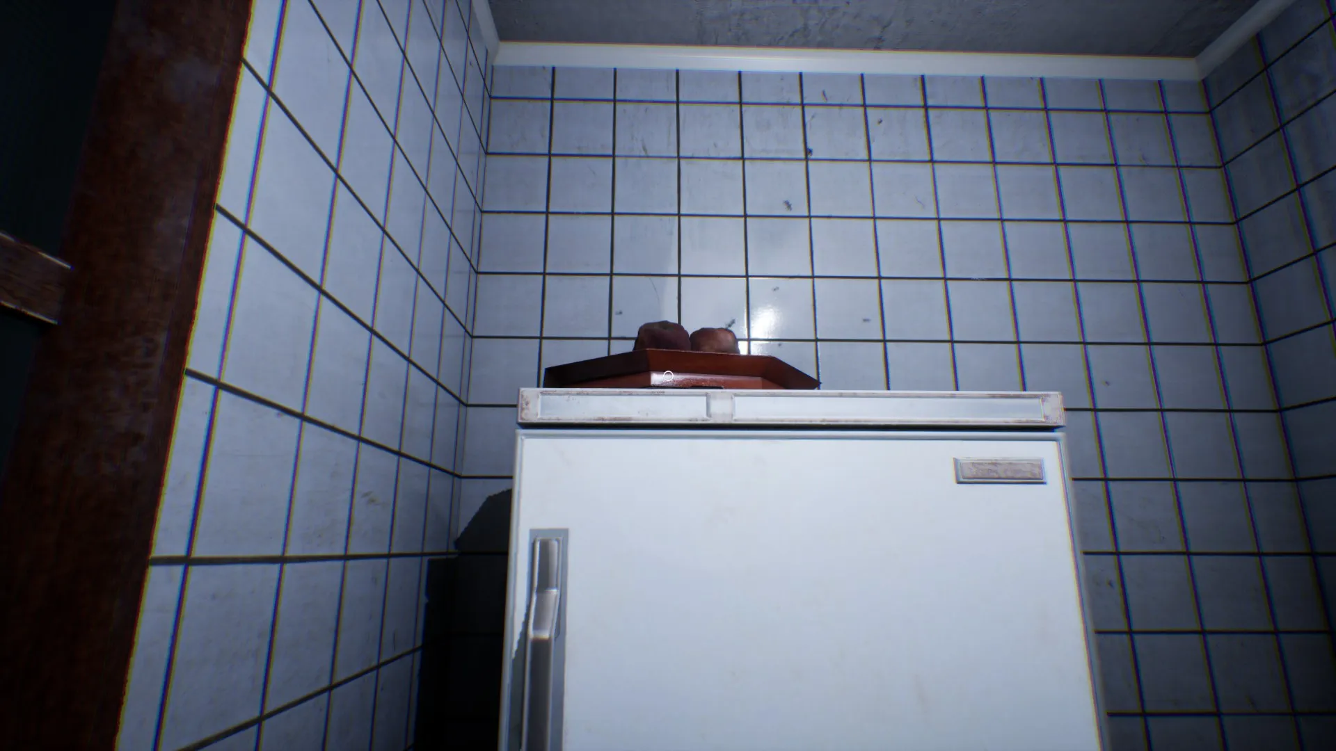 A swarm of flies buzzes around the kitchen sink area.